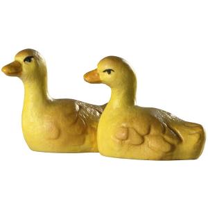 Duckboys in two