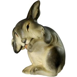 Rabbit with paw on the ear