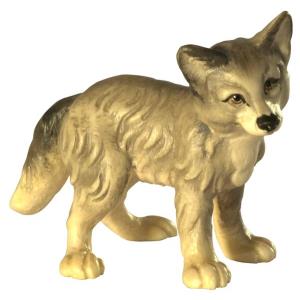 Silver-fox puppy
