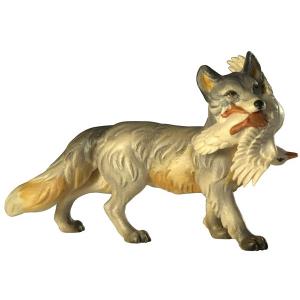 Silver-fox