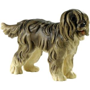 Shepherd's dog - Bobtail