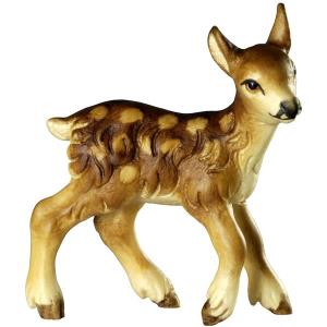 Caprioletto/Cerbiatto - testa DX