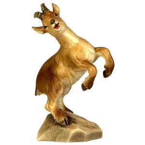 Capretto di stambecco - testa dx