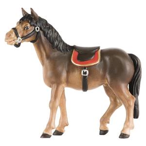 Cavallo marrone scuro