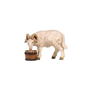 HE Ram with bucket