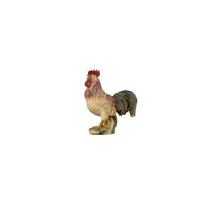 HE Rooster