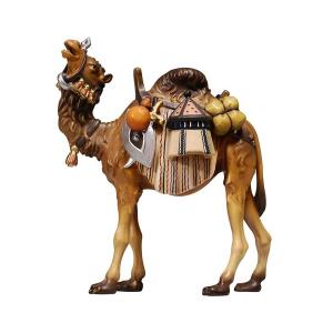 HE Camel with luggage