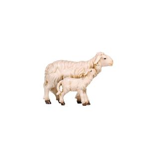 HE Pecora con agnello in piedi