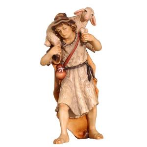 KO Shepherd sheep shoulder