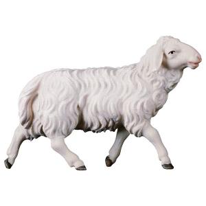 UL Running sheep