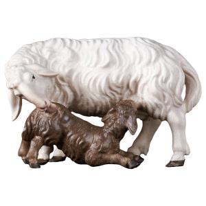 UL Sheep with suckling lamb