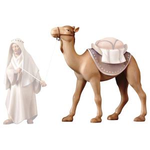 SA Standing camel