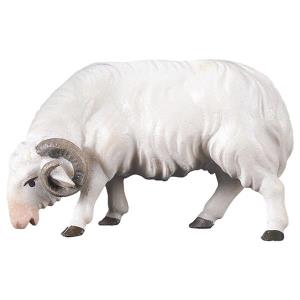 SA Ram