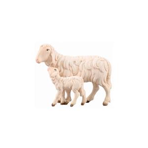 IN Sheep running with lamb