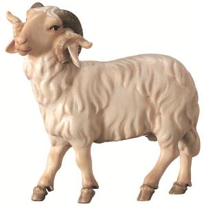 Ram