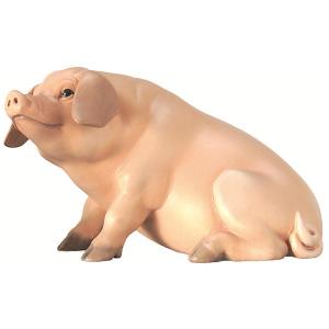 Pig