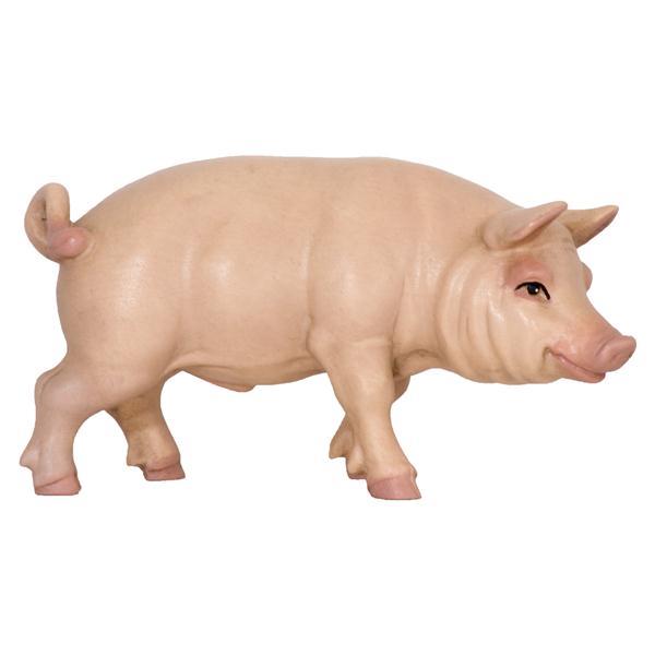 Schwein - lasiert