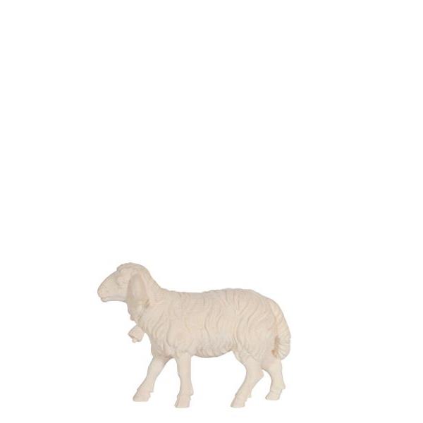 KO Schaf gehend Glocke - natur