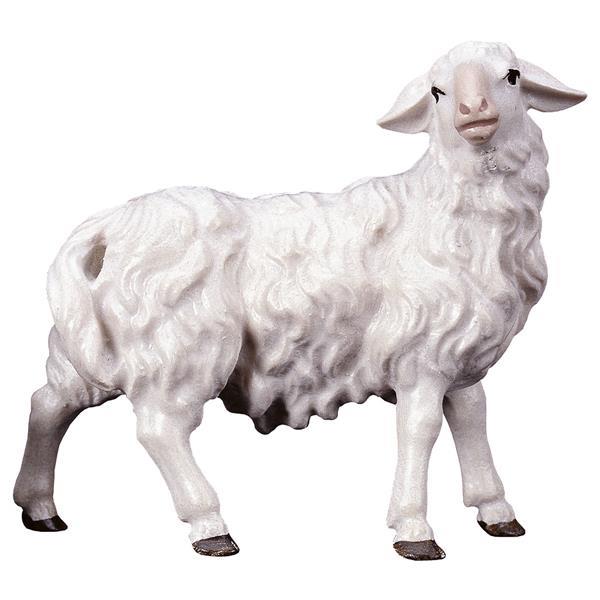 UL Schaf rechts schauend - lasiert