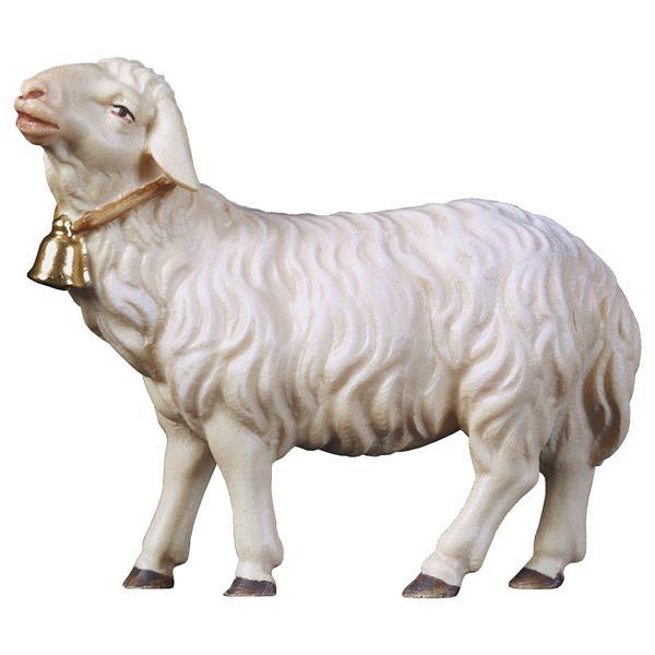 HI Schaf geradeaus schauend mit Glocke - lasiert