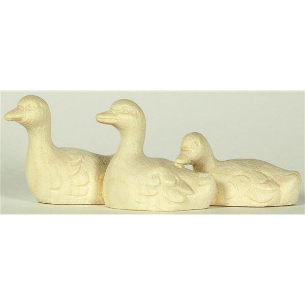 Duckboys in three - natural