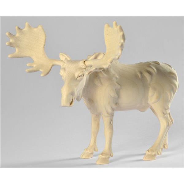 Moose - elk - natural
