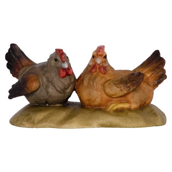 Group of Hens - color