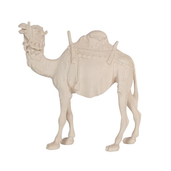 HE Camel - natural