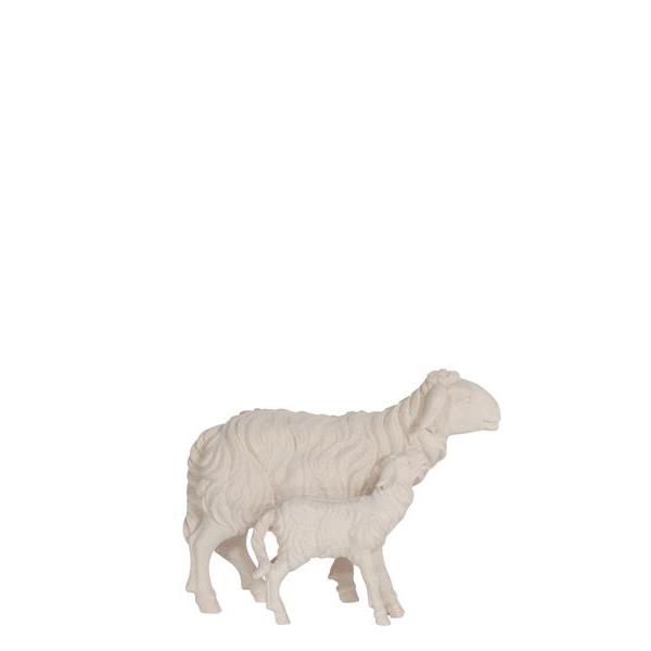 HE Sheep with lamb standing - natural