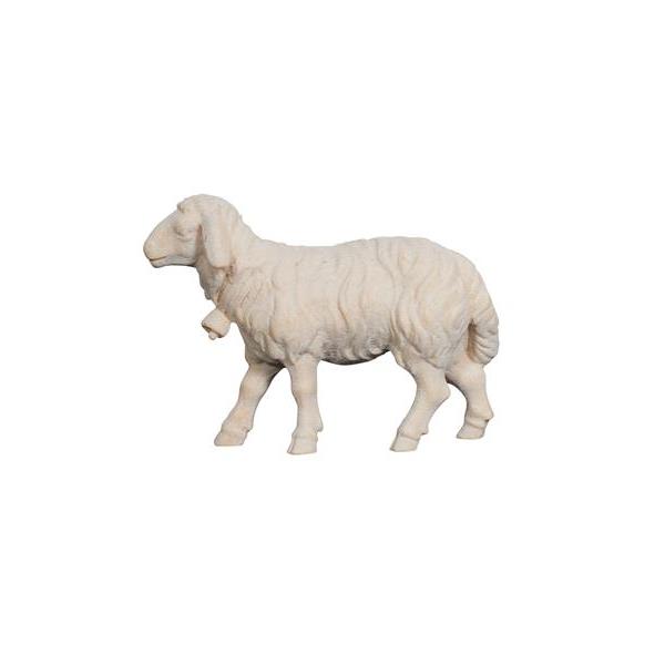 ZI Sheep going with bell - natural
