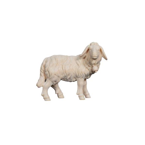 ZI Sheep standing with bell - natural