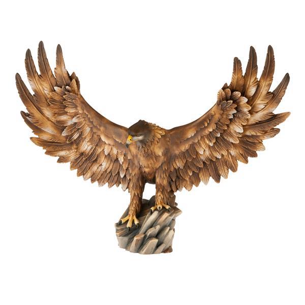 eagle open wings - color