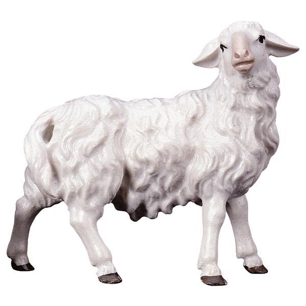 SH Sheep looking rightward - color
