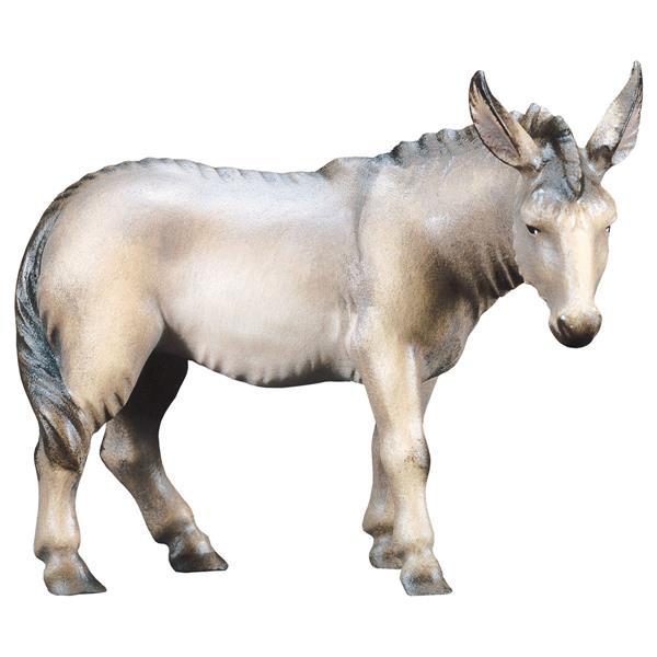 SA Donkey - color
