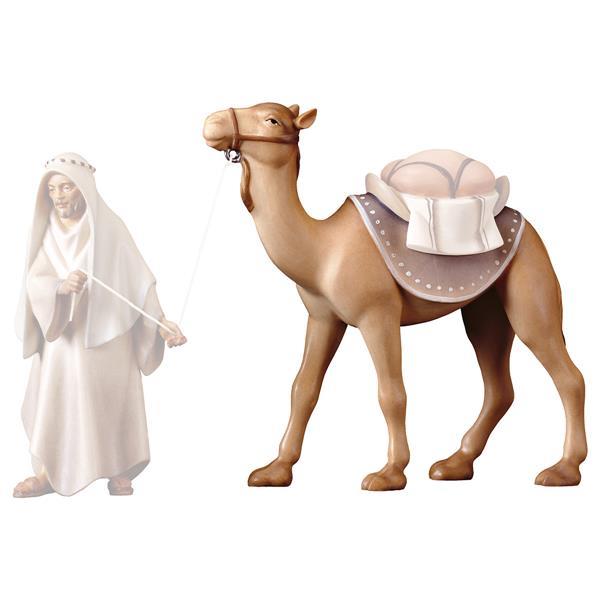 CO Standing camel - color