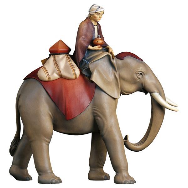 CO Elephant group with jewel saddle - 3 Pieces - color