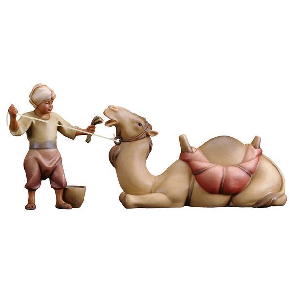 CO Lying camel group - 2 Pieces - color