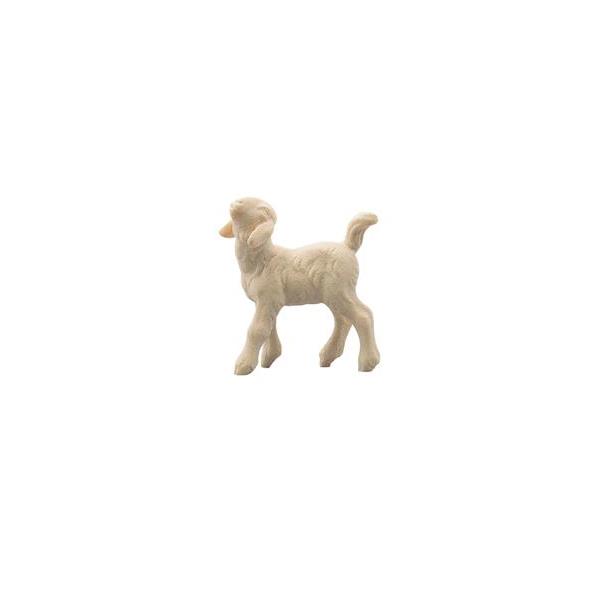 IN Lamb  looking left - natural