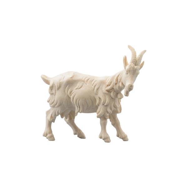 IN Goat - natural