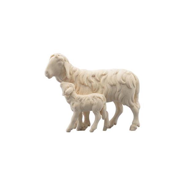IN Sheep running with lamb - natural