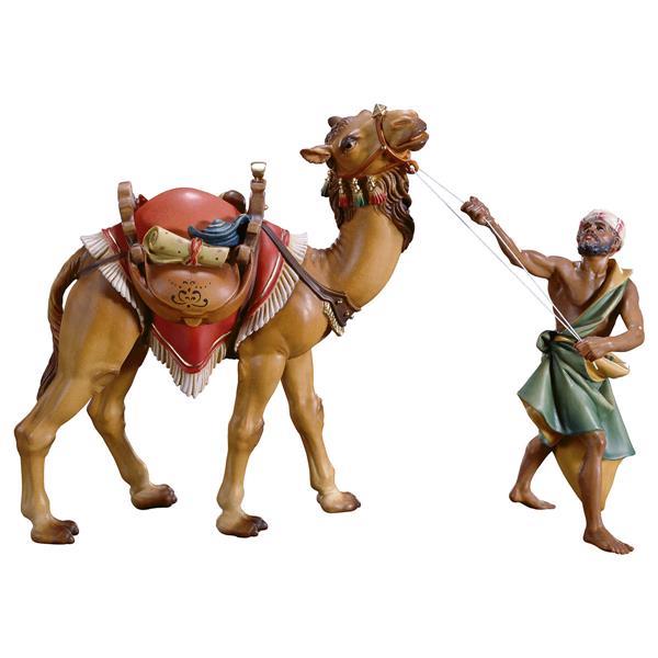 UL Gruppo del cammello in piedi - 3 Pezzi - colorato