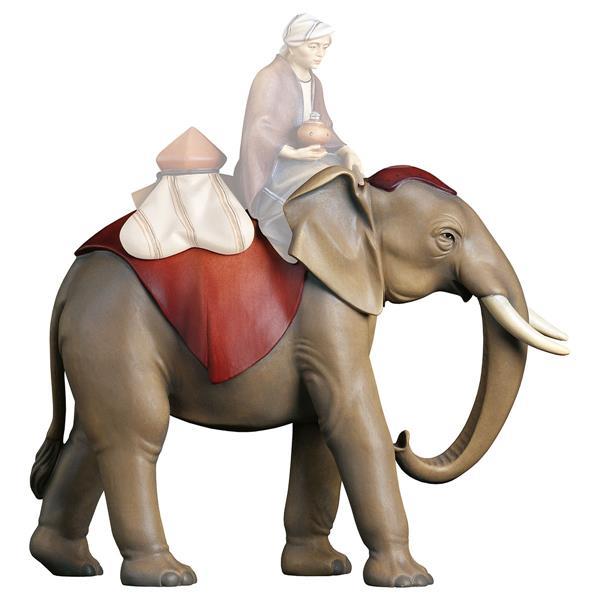 CO Elefante in piedi - colorato